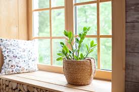 Coltivare le piante e i fiori partendo dalle semenze è l'ideale per poter seguire dall'inizio alla fine tutto il processo di vita della pianta: Piante Grasse Nomi Fiori Ispirazioni Per Un Tocco Esotico In Casa E Giardino