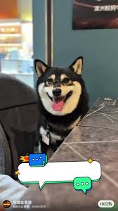 The uniek – 香港荃湾南丰纱厂的多国菜咖啡店| OpenRice 香港开饭喇