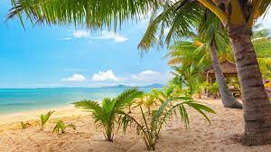 Ultra High Definition 8k Beach Wallpaper Beach Wallpaper Summer Landscape Beach Wall Murals