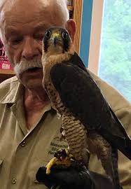 Sailing out of Gloucester harbor with Captain Heath Ellis