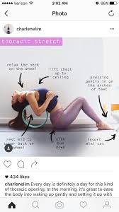 Dharma Yoga Wheel Yoga Props Yoga Wheel Dharma Yoga Wheel Dharma Yoga