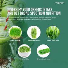 Diversify Your Greens Intake Get Broad Spectrum Nutrition Grass Species Wheat Grass Barley Grass