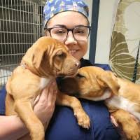 Jodi Walton Email & Phone Number