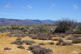 Affordable and search from millions of royalty free images, photos and vectors. Africa Safari Landscape With River Meadow And Mountain Background Stock Photo Picture And Royalty Free Image Image 76033955