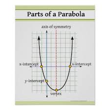 Quadratic Function Parts Of A Parabola Poster Zazzle Com Quadratics Quadratic Functions Graphing Parabolas