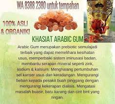 Copyright © 2021 all rights reserved. Gum Arabic Seaweed Stevia Photos Facebook