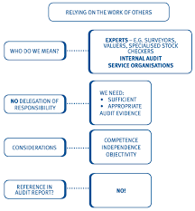 Finally, when we have analyzed all highlights of introduction writing we can gather all parts of it in one, ultimate part of a paper. Chapter 7 Audit Evidence