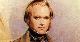 The Cabbages of Doom: Charles Darwin, the gentleman scientist