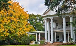 We did not find results for: 5 Amazing Ways To Celebrate Spring In Palestine Tour Texas