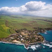 Maybe you would like to learn more about one of these? Mama S Fish House Restaurant North Shore Maui Hawaii