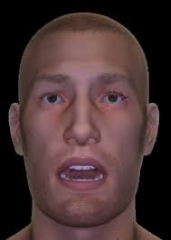 A High-Fidelity Open Embodied Avatar with Lip Syncing and Expression  Capabilities