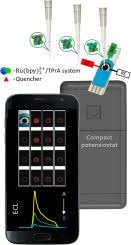 Using this method has some advantages3 Development Of Smartphone Based Ecl Sensor For Dopamine Detection Practical Approaches Sciencedirect