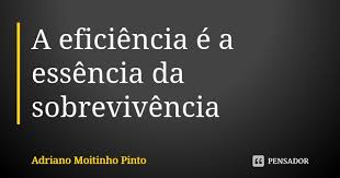 A Eficiencia E A Essencia Da Adriano Moitinho Pinto