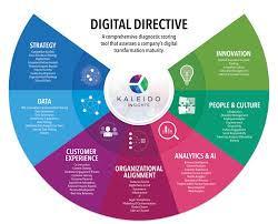 Digital Directive A Digital Transformation Diagnostic Roadmap To Action Kaleido Insights Digit In 2020 Digital Transformation Digital Strategy Heuristic Evaluation
