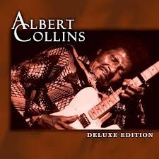 Image result for Albert Collins