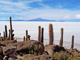 It is in the daniel campos province in potosí in southwest bolivia, near the crest of the andes at an elevation of 3,656 meters (11,995 ft) above sea level. Salar De Uyuni And The Colorful Bolivian Lagoons A Photo Essay Per Viaggiatori Curiosi