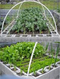 We did not find results for: 28 Best Diy Raised Bed Garden Ideas Designs A Piece Of Rainbow