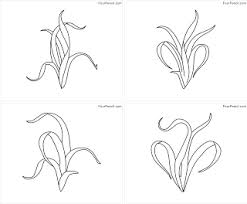 Make a coloring book with seahorse seaweed color for one click. Free Printable Seaweed Coloring Pages For Kids Fourcoloring