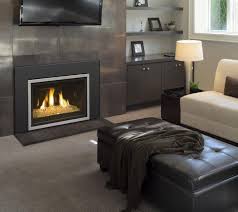 We did not find results for: Real Fyre 25 Inch Iseries Contemporary Direct Vent Gas Fireplace Insert