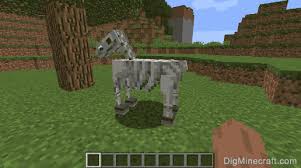 We did not find results for: How To Tame And Ride A Skeleton Horse In Minecraft