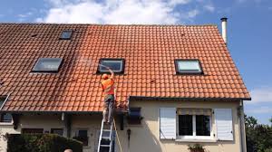 Check spelling or type a new query. Produits Anti Mousse Pour Les Toitures Comment Ca Fonctionne