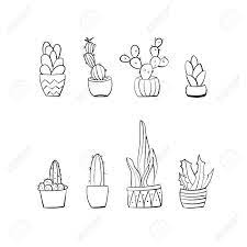 Ideal for any project that requires cactus, abstraction, art. Hand Drawn Cactus Black And White Minimal Set Royalty Free Cliparts Vectors And Stock Illustration Image 62712058
