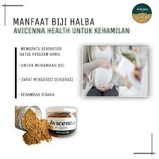 We did not find results for: Biji Halba Avicennahealt 250gr Fenugreek Seed Kelabat Hulbah Methi Original Shopee Indonesia