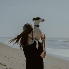 Try watching videos on stray kids channel. Stray To Stay Challenges Vocal