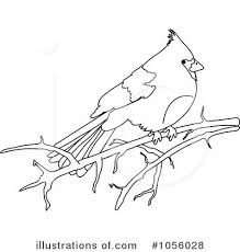 920 x 905 14 0. Cardinal Clipart Image Clipart Clip Art Black And White Birds Bird Outline