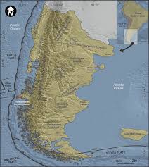 Image result for Asterochaete angustissima