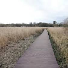 Parents raise £20,000 to fly daughter home after she suffered a brain  aneurysm in Gran Canaria