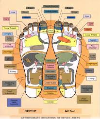 foot reflexology muscle therapy and acupuncture