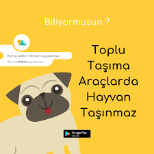 Bursa Metro Mobil Uygulamasi Bursa Nin Toplu Tasimaciligi Icin Kisisel Asistaniniz Hemen Indir Google Play Uygulamalar App