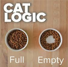 Cat Logic Full Empty Cat Food Bowl Funny Animal Pictures Funny Animal Photos