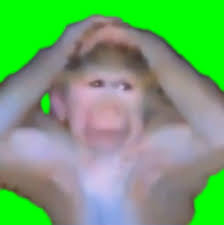 Sad Monkey hands on Top of Head meme (Green Screen) – CreatorSet