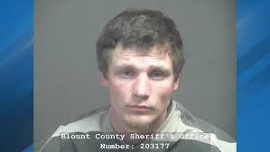 Tennessee. A Lenoir City, Tennessee man has been charged after a Blount  County Sheriff's deputy was killed in a car crash last Sunday. According to  the Blount County Sheriff's Office, Dalton Michael