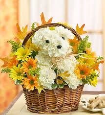 Whether you regularly trip over them or just don't want to have them out when guests come over, we don't blame you. A Dog Able For Fall Willow Basket Arrangement In Croton On Hudson Ny Cooke S Little Shoppe Of Flowers