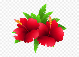 Check spelling or type a new query. Nature Flowers Exotic Flowers Tropical Flowers Png Stunning Free Transparent Png Clipart Images Free Download