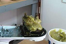 We did not find results for: How To Fix A Kitchenaid Stand Mixer That Is Leaking Oil Ereplacementparts Com