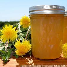 Dandelion Jelly Easy Flower Jelly Recipe With Less Sugar Recipe Dandelion Jelly Jelly Recipes Dandelion Recipes