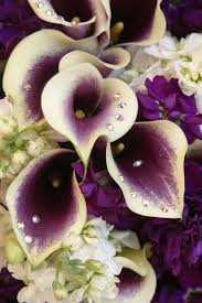 Flowers medical is now offering coolsculpting procedure which can help both women and men get rid of those stubborn bulges for good. Florist Wedding Flowers Wedding Flower Arrangements Wedding Flowers Smyrna Ga Wedding Flowers Marietta Ga Purple Calla Lilies Wedding Flowers Calla Lillies