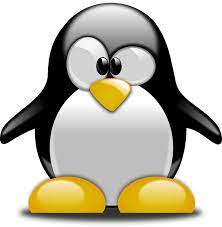 May 15, 2013 | ployziihk. Penguin Tux Animal Free Vector Graphic On Pixabay à¸à¸²à¸£ à¸• à¸™ à¸™à¸ à¹€à¸žà¸™à¸à¸§ à¸™ à¸™ à¸² à¸£ à¸ Clipart Large Size Png Image Pikpng
