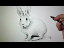 Comment Dessiner Un Lapin Tutoriel Comment Dessiner Un Lapin Dessin Lapin Comment Dessiner Un Chien