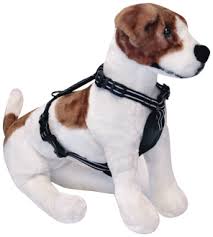 Alcott Essential guarantee Adventure collar