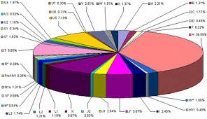 Pie Chart Of Mitochondrial Haplogroups Found Among The Cus