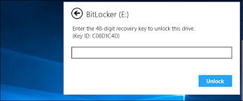 For example, i believe federal government public sector does not allow recovery password protectors, only recovery key protectors. Getting Numerical Password Id From Password Id Bitlocker