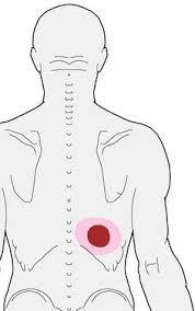 However, only seven have a direct articulation with the sternum. Rib Pain