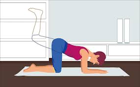 Rückengymnastik gilt unter ärzten als die effektivste methode, um rückenschmerzen in den griff zu bekommen. 5 Ubungen Fur Ihre Hufte Vigo