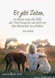 10 Schone Spruche Und Lebensweisheiten Aus Brian Hayes Blog Brian Hayes Lebensweisheiten Schone Spruche Dog Quotes Dog Quotes Funny Funny Quotes