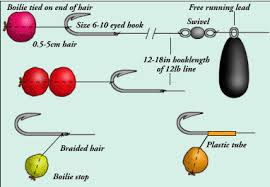 We did not find results for: Homemade Hair Rigs Off 63 Medpharmres Com